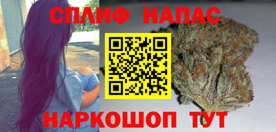шишки Будённовск