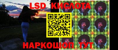 шишки Будённовск