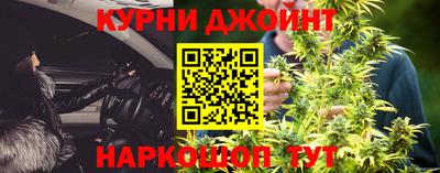 шишки Будённовск