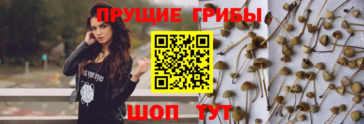 Псилоцибиновые грибы Magic Shrooms Самара